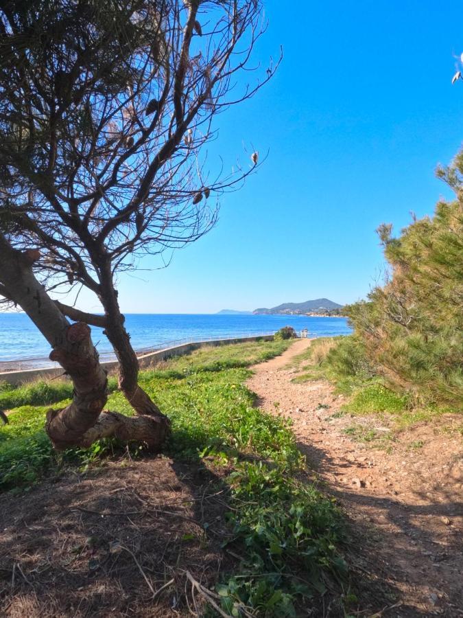 Appartement Hyeres - Costebelle Duplex Vue Mer Balcon Residence Privee Parking - Marie Caroline Eksteriør bilde